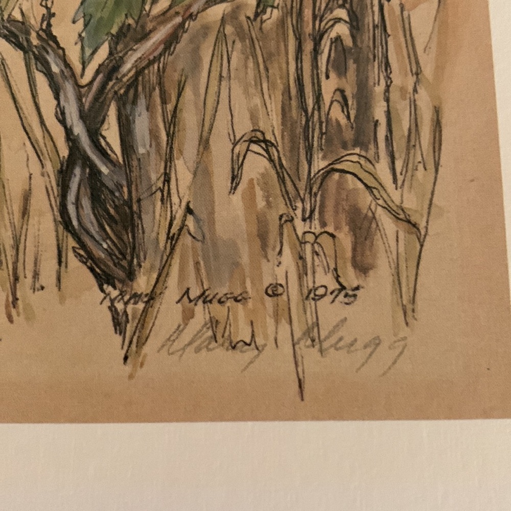 1975, set of numbered, 88/500 and 89/500 signed prints of birds nest MARY MUGG. - Picture 9 of 9